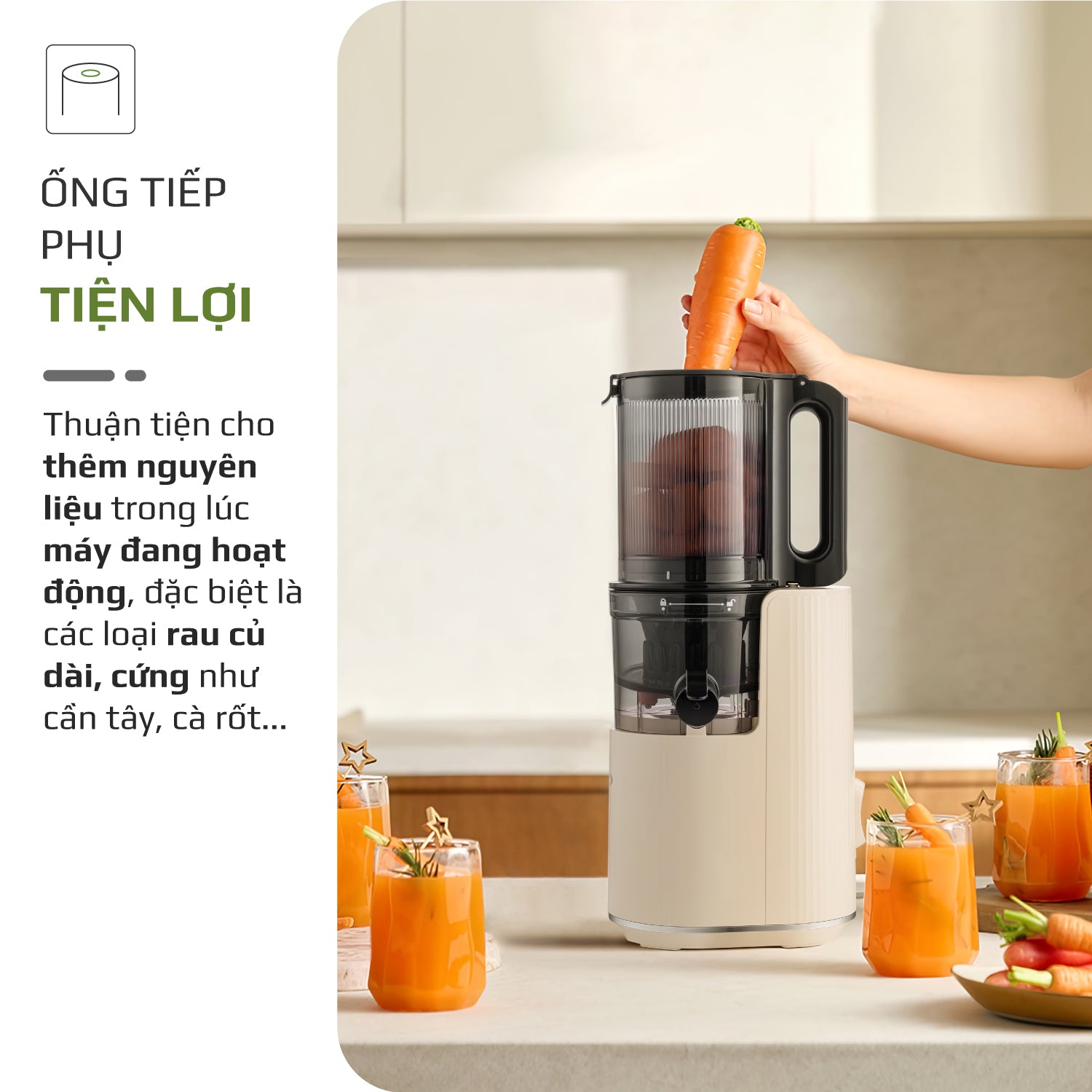 máy ép chậm olivo sj2000 máy ép chậm olivo sj2000