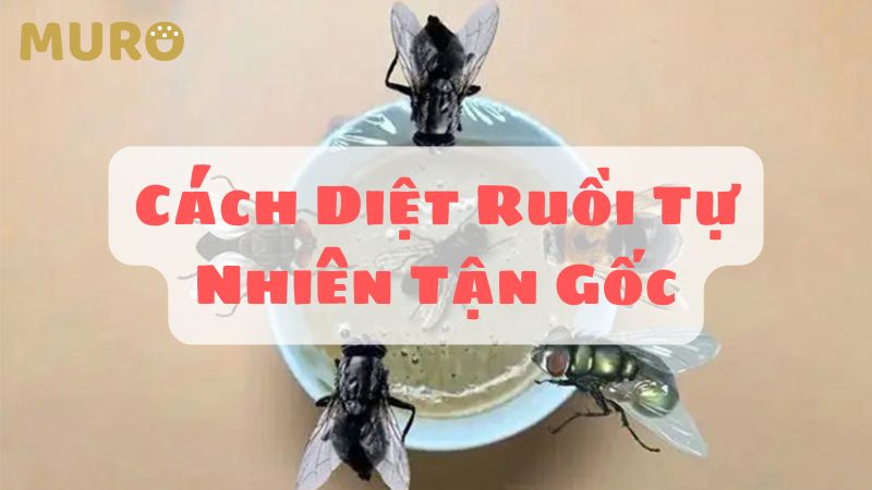 cách diệt ruồi tự nhiên tận gốc