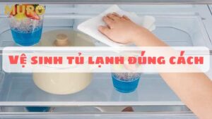vệ sinh tủ lạnh đúng cách